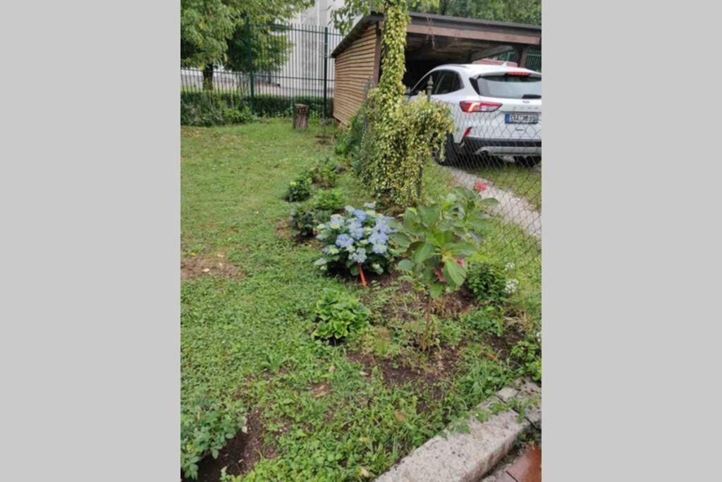 Villa Hortensia Ljubljana Ngoại thất bức ảnh